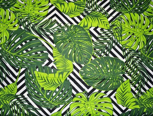 Baumwollstoff Monstera